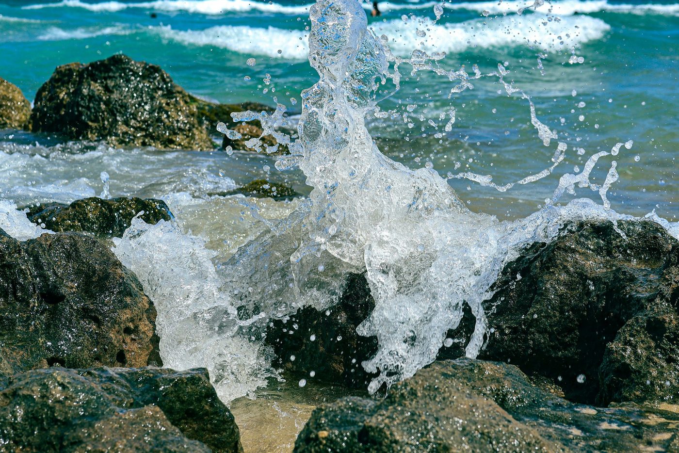 diana-rafira-_qlaYmhhiFg-unsplash.jpg